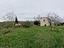 Immagine 19