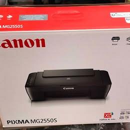 Stampante Multifunzione Canon PIXMA MG2550S