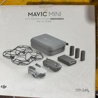 Dji mavic mini