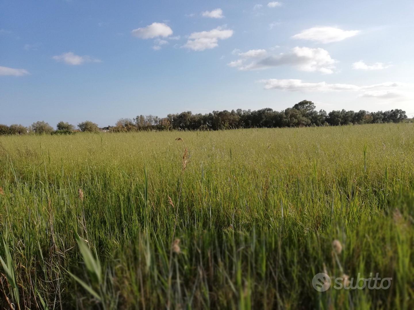 Terracina zona Badino Terreno terreno - mq.6.000 - Vista 3