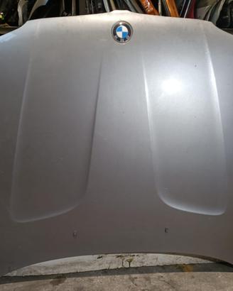 COFANO ANTERIORE BMW X3 1° Serie 306D5 (04>10)