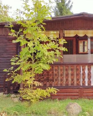Chalet in legno