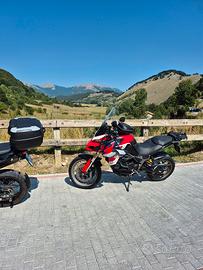  multistrada 950 anno 2017