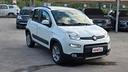 fiat-panda-1-3-mjt-s-s-4x4-antartica