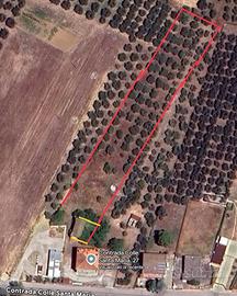 Terreno con Area Edificabile