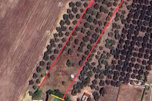 Terreno con Area Edificabile