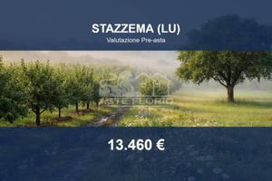 Immobile in asta di 3219 m² a Stazzema