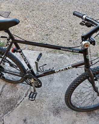 2 #bici MTB 