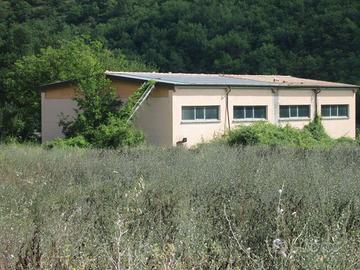 RGE 22/2024 - Tribunale di Urbino