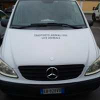 Mercedes Vito TRASPORTO ANIMALI