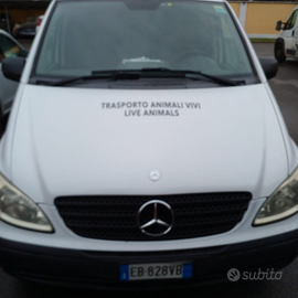 Mercedes Vito TRASPORTO ANIMALI