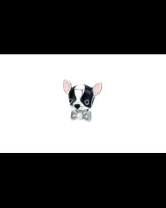charm Chihuahua 