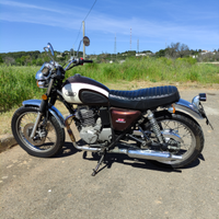 Mash five hundred
