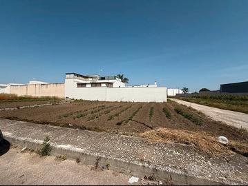 Terreno edificabile