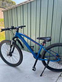 Bici Bemmex