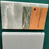 Susanna Tamaro -  Va dove ti porta il cuore 