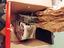 Immagine 3