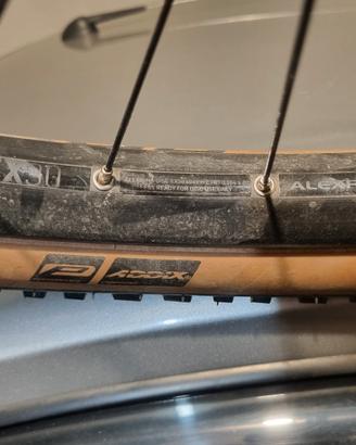 cerchi obici Newmen  27.5