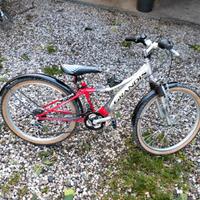 Bici bambino