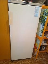 frigo +affettatrice 