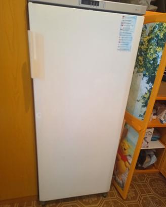 frigo +affettatrice 