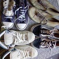 Converse Superga Vans nr 42