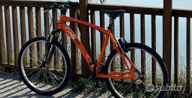 Bici city e mtb