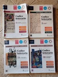 testo CODICE LETTERARIO per il nuovo es