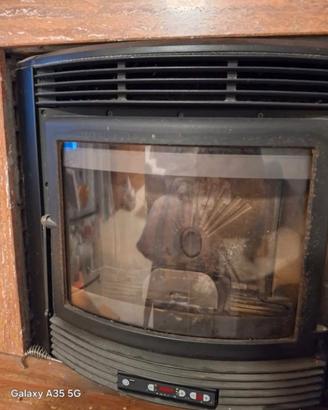 CAMINETTO PELLET NORDICA EXTRAFLAME COMFORT MAX