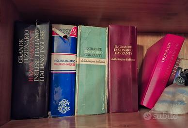 Dizionari scolastici