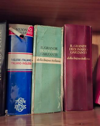 Dizionari scolastici