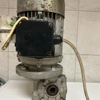 Moto riduttore MV 44