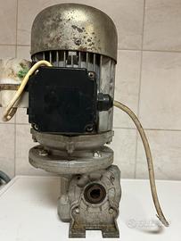 Moto riduttore MV 44