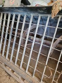 Benna miscelatrice per bob cat