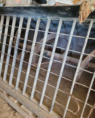 Benna miscelatrice per bob cat