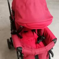 paseggino chicco