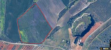 Terreno 4 ettari di cui 3,75 diritto di vigneto