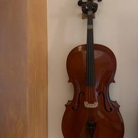 Violoncello