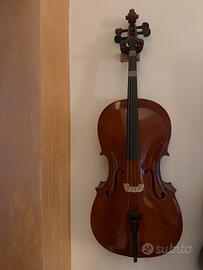 Violoncello