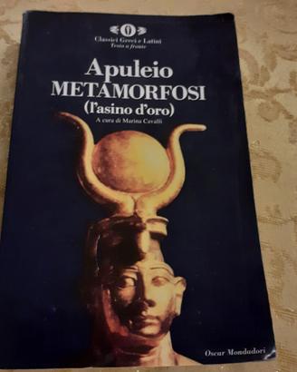 Apuleio metamorfosi (l'asino d'oro)