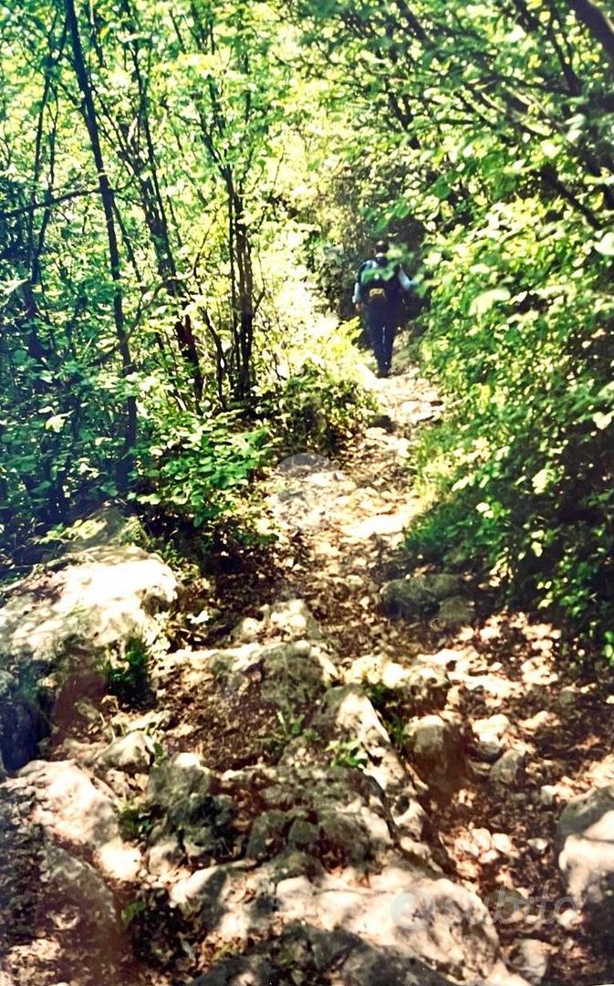 RUSTICO A CAPRINO VERONESE - Altro