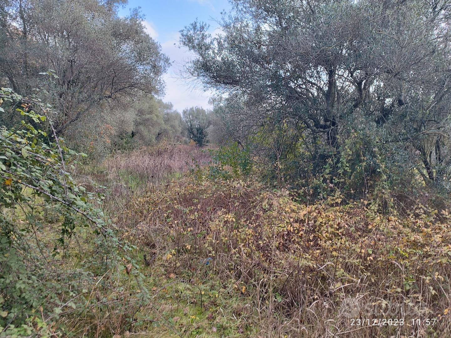 Vendita terreno - Vista 2