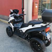 SCOOTER QOODER A 4 RUOTE