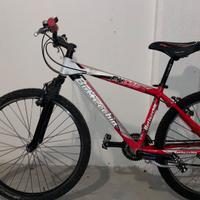 Bicicletta FX-500 Bottecchia
