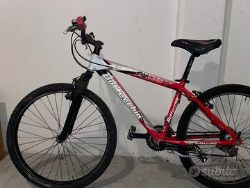 Bicicletta FX-500 Bottecchia