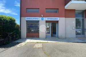 NEGOZIO A ABBIATEGRASSO