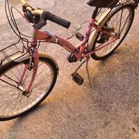 bicicletta rosa