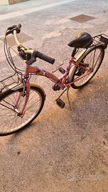bicicletta rosa
