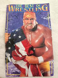 Scheda WWF Hulk Hogan