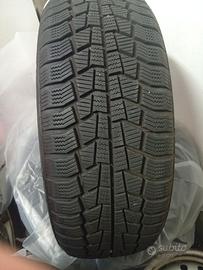 Gomme invernali viking